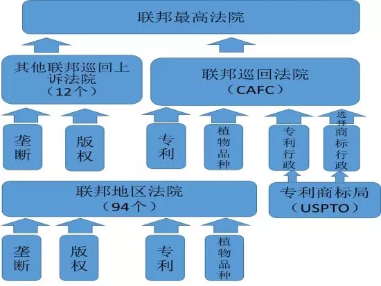 美国的知识产权司法保护制度是怎样的？